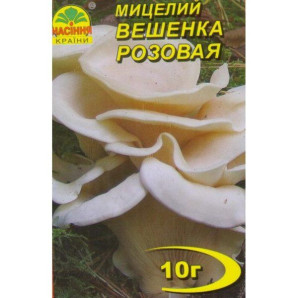 Мицелий гриба Вешенки розовой, 10 гр Мицелий гриба Вешенки розовой, 10 гр