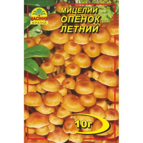 Мицелий гриба Опенок летний, 10 гр