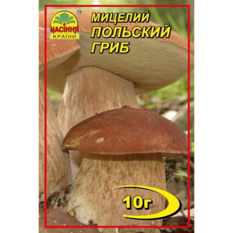 Мицелий гриба Польский, 10 гр Мицелий гриба Польский, 10 гр