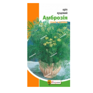 Укроп "Амброзия кустовой", 5 г