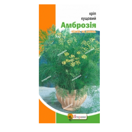 Укроп "Амброзия кустовой", 5 г