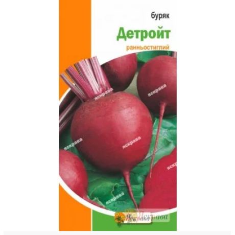 Буряк столовий Детройт, 3 г