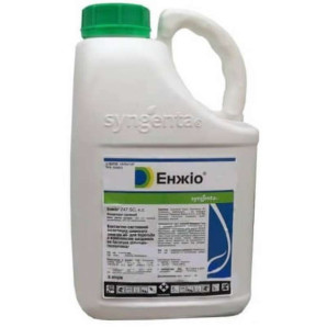 Інсектицид Енжіо 247 SC к.с., 5 л Інсектицид Енжіо 247 SC к.с., 5 л