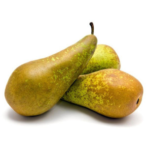 Саженцы груши осенней сорт Конференция, подвой ВА-29 Саженцы груши осенней сорт Конференция, подвой ВА-29