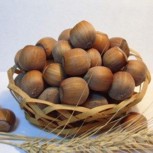 Фундук сорт Корончатий