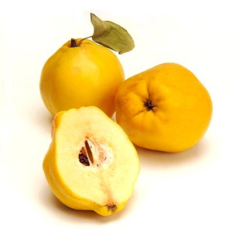 Айва сорт Лимонна