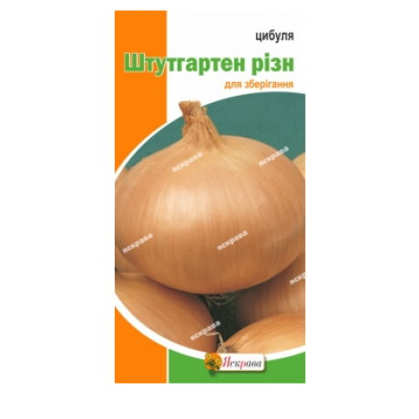 Лук "Штутгартен Ризн", 1 г