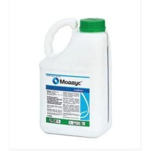 Регулятор росту Моддус, 5 л 