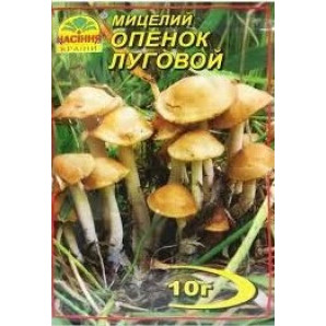 Мицелий гриба Опенок луговой, 10 гр Мицелий гриба Опенок луговой, 10 гр