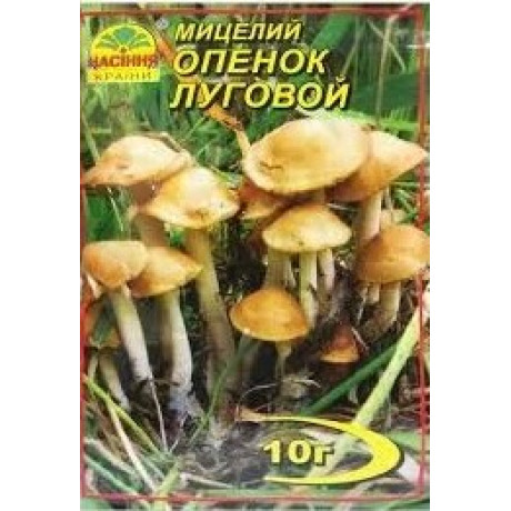 Мицелий гриба Опенок луговой, 10 гр Мицелий гриба Опенок луговой, 10 гр