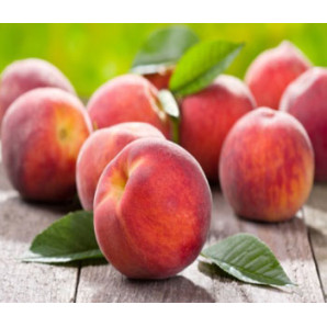 Персик сорт Саммер Рич, подвой миндаль Персик сорт Саммер Рич, подвой миндаль