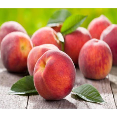 Персик сорт Саммер Рич, подвой миндаль Персик сорт Саммер Рич, подвой миндаль