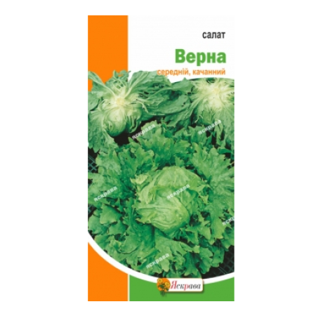Салат "Верна Головчатый", 2 г