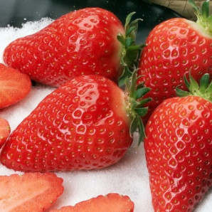 Клубника сорт Альба, 2 лет. пакет 7,5 л