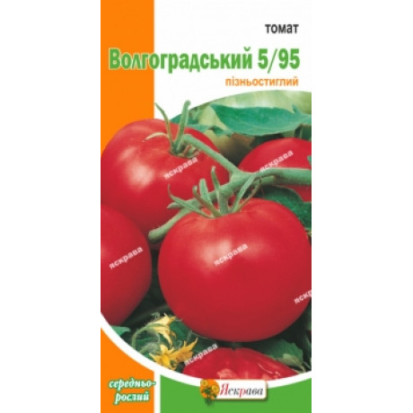 Семена томата сорт Волгоградский 