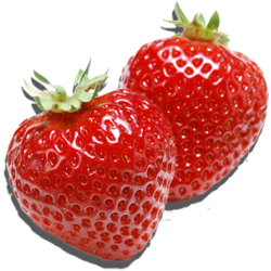 Саженцы клубники купить Оптом в Украине