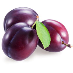 Саджанці сливи Саджанці сливи