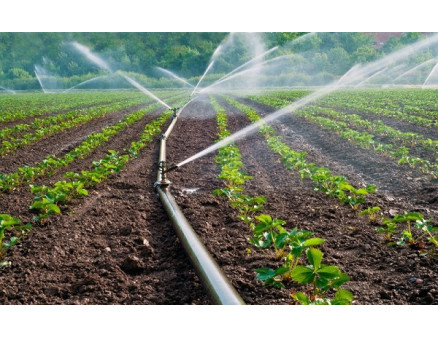 Якість води для зрошення та фертигації