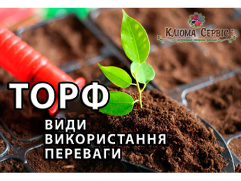 Торф: удобрение, «умный» субстрат, регулятор кислотности почвы