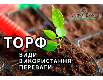 Торф: удобрение, «умный» субстрат, регулятор кислотности почвы