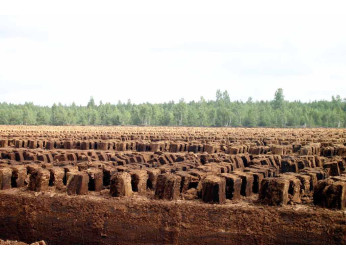 Торф: виды, способы добычи, применение