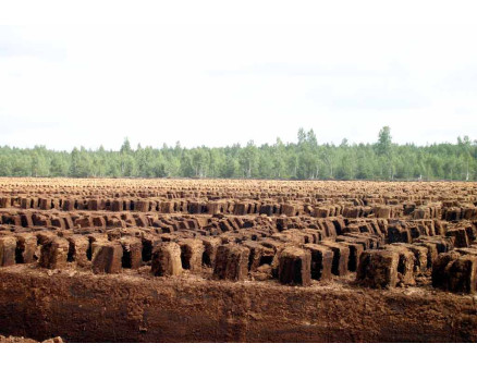 Торф: виды, способы добычи, применение