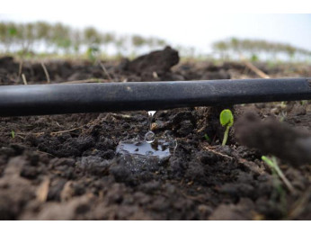 Капельная система и удобрения: как соединить их вместе?