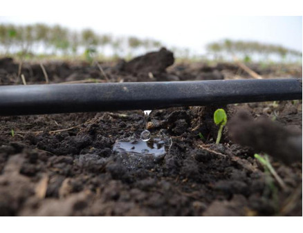 Капельная система и удобрения: как соединить их вместе?