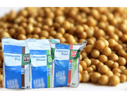 Удобрение Осмокот – Ваш залог красивого сада! Удобрение Осмокот – Ваш залог красивого сада!