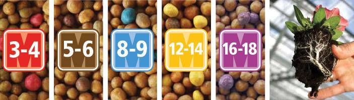 Норми внесення добрива Осмокот для рослин Норми внесення добрива Осмокот для рослин