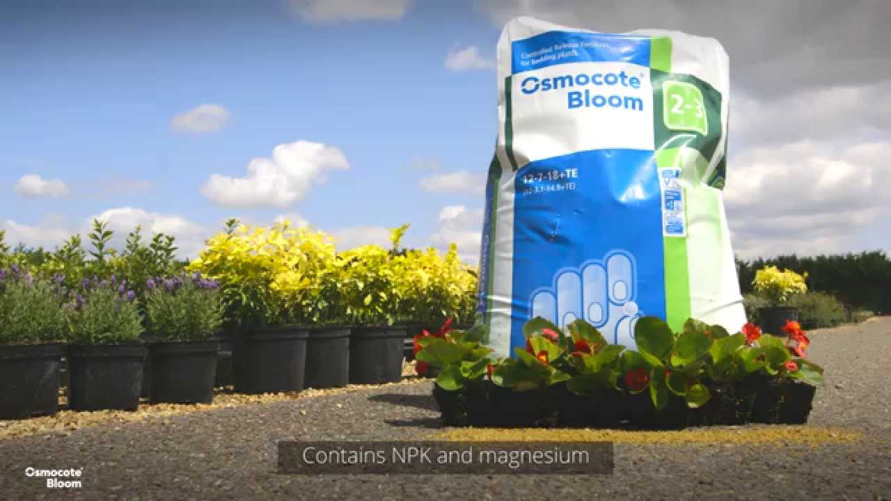 Як правильно використати добриво Осмокот Норми внесення добрива Осмокот