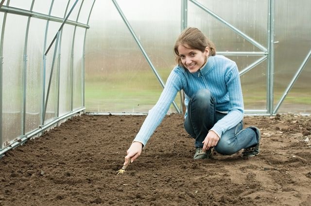 Робота з грунтом у теплицях