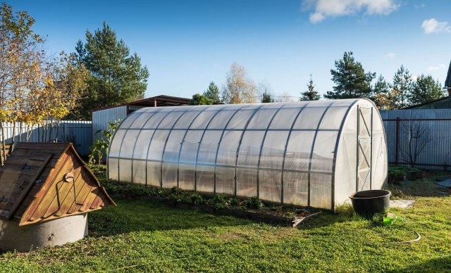 Обробка теплиць