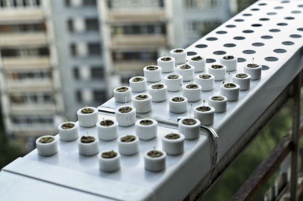 Ультразвуковая установка аэропоники