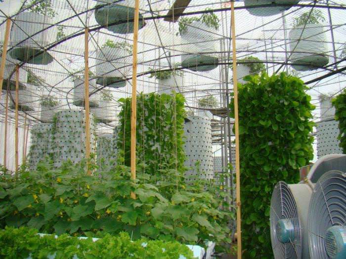 Аеропонна установка с воздушным компрессором