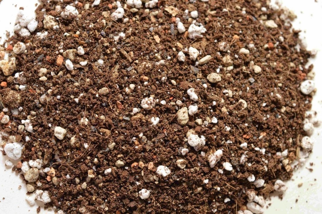 Агроперліт використовують для розпушення грунту