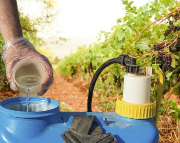 Рецепты приготовления баковых смесей