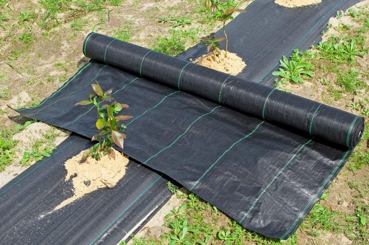 Как правильно использовать черное агроволокно? Как правильно использовать черное агроволокно?