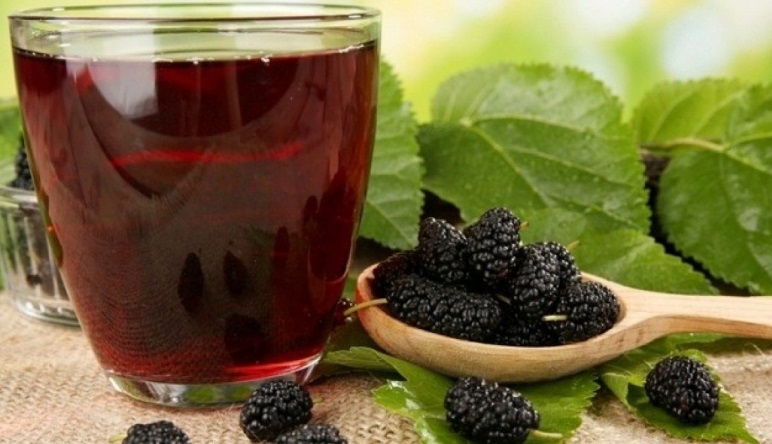 Шелковица считается деревом-целителем, и каждая ее часть имеет свою особую силу.