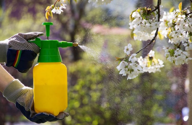 Препарат Проклейм безопасен для большинства полезных насекомых.