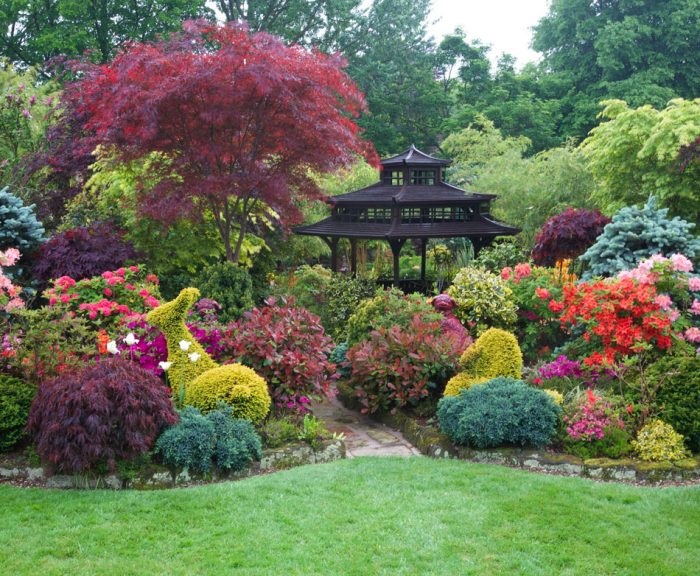 Декоративные деревья и кустарники