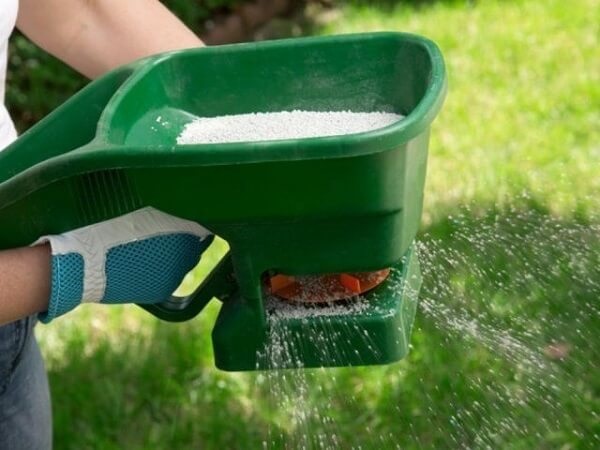 Внесение удобрений для газона