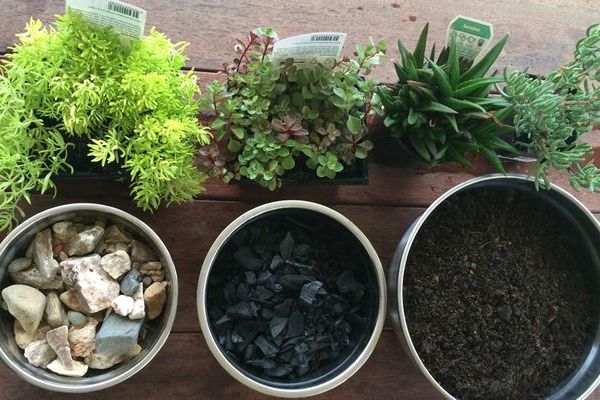 преимущества использование дренажа для растений