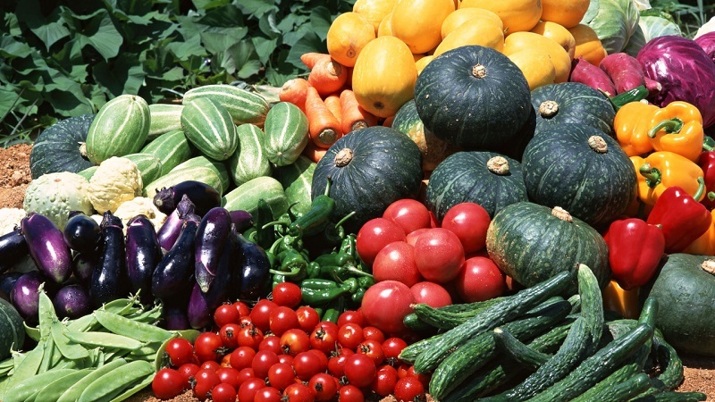 Выращивание овощей не является легким процессом.