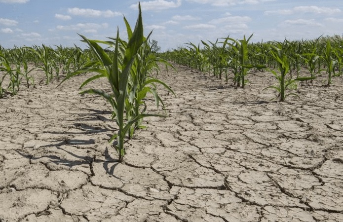 Ерозія грунту — це процес руйнування верхнього родючого шару землі.