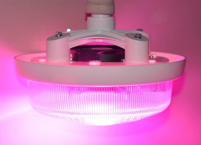 Цокольна фітолампа