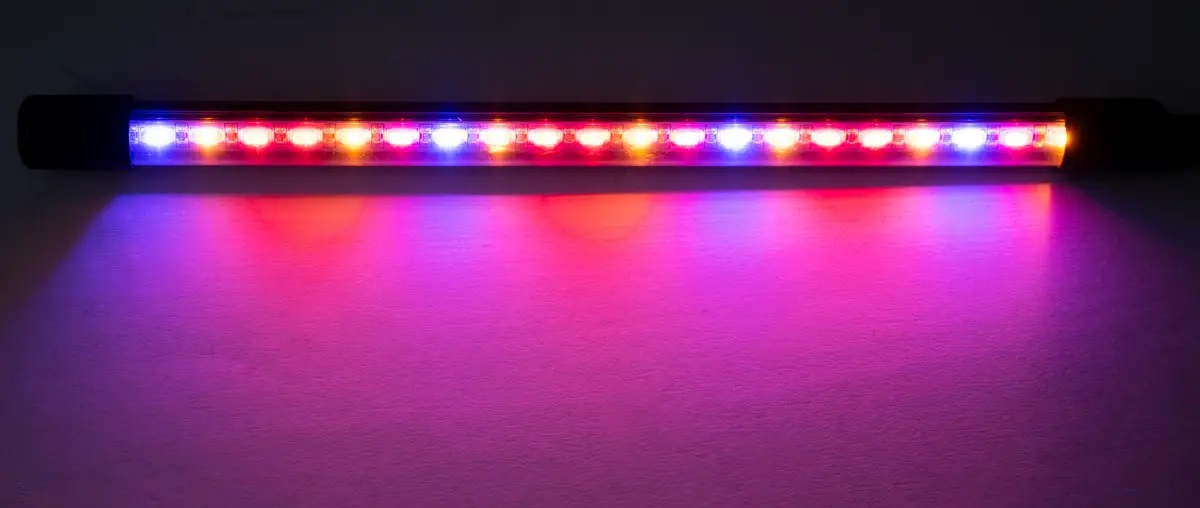 Фітолампи можуть мати світіння різного кольору
