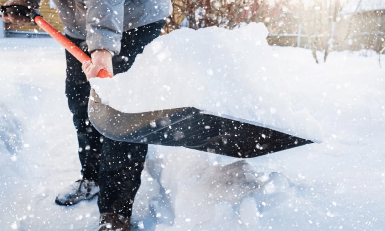 Снег удерживает тепло в почве, способствуя выживанию корневой системы и нижних частей растений. Снег удерживает тепло в почве, способствуя выживанию корневой системы и нижних частей растений.