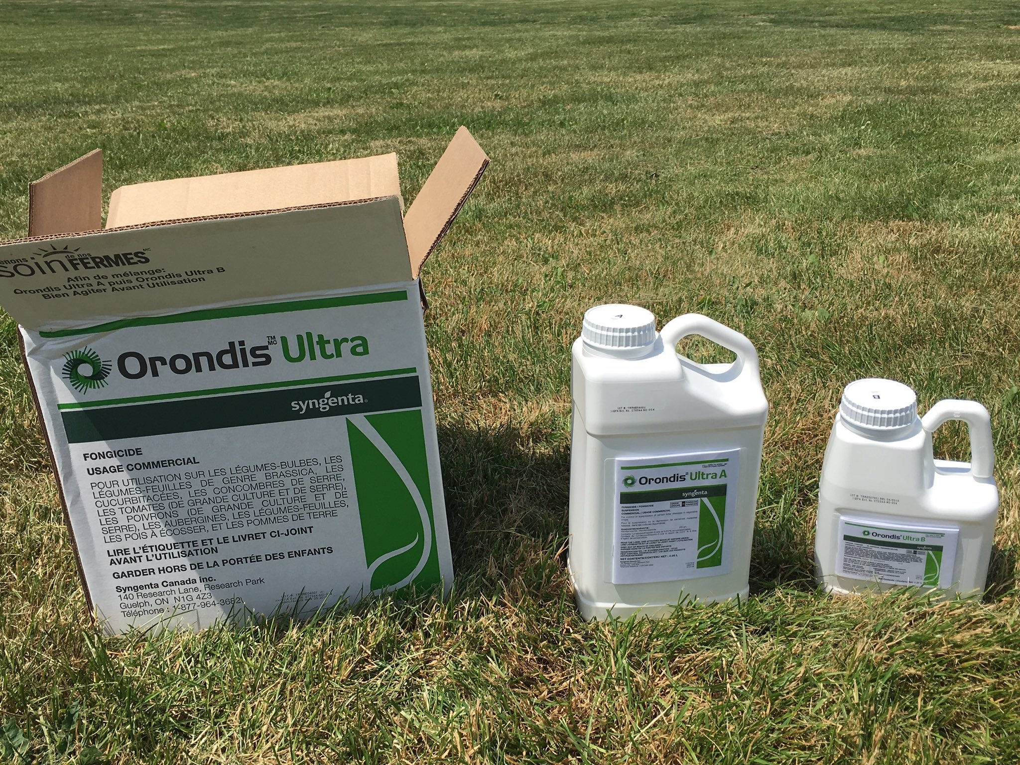 Препарат Орондис Ультра – средство борьбы с милдью