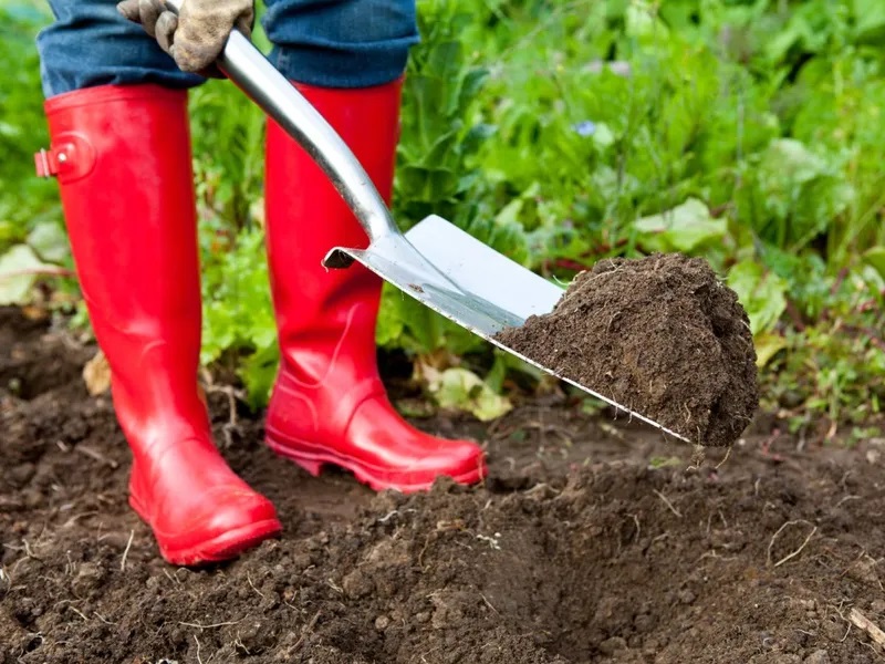 Недостаток питательных веществ в почве